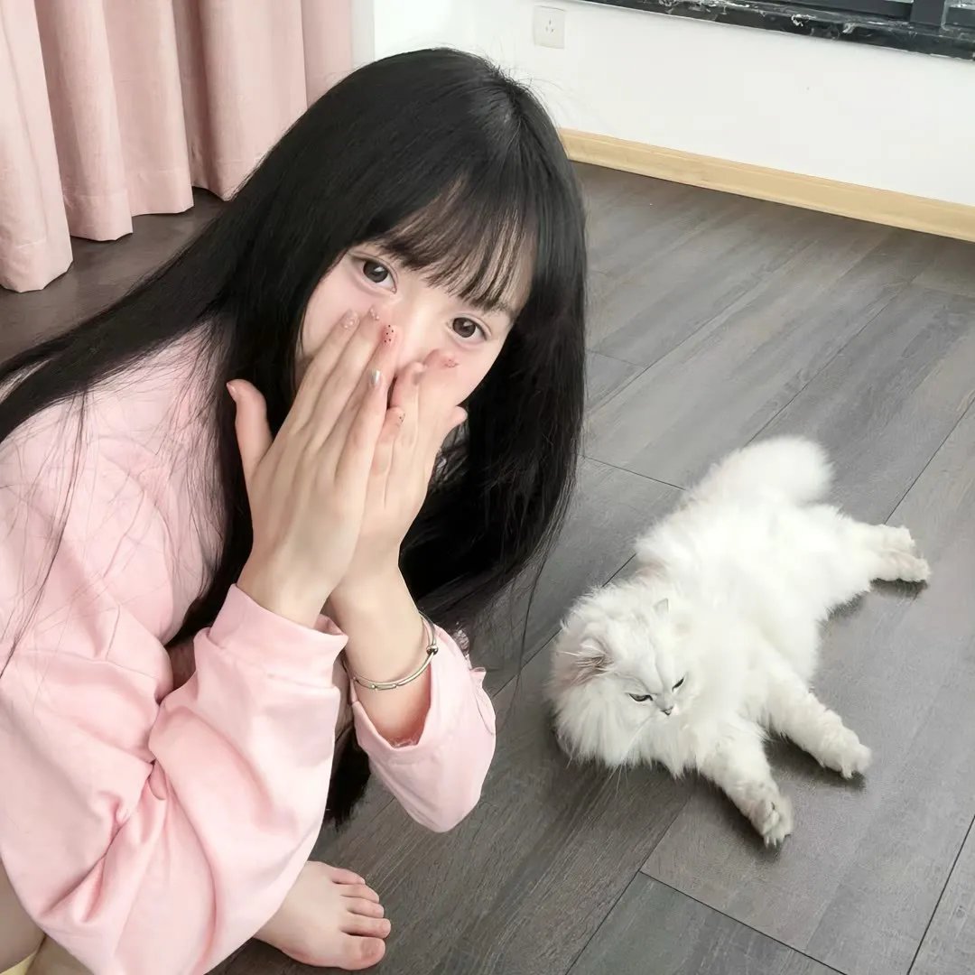 和歌子酒第二季